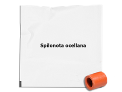 Zobrazit detail Odparník SO Obrázek z Odparník SO